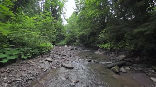 Smooth Rapid Flight Over a Mountain River Close to the Water Among a Dense Forest