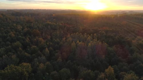 AERIAL: Vom Horizont über einen Wald auf- und abfliegen, während die Sonne auf einem Beau untergeht