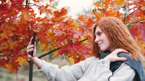 Young Beautiful Woman In Autumn Forest Taking Pictures With Smartphone