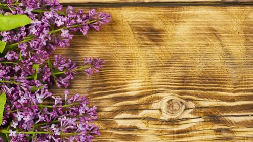 Lilac Flowers on Weathered Wooden Plank Background