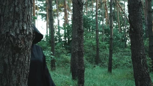 Evil Ghost Hiding in the Woods Near a Large Tree