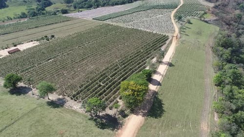 Rural landscape aerial view. Nature scenery