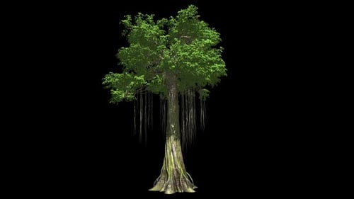 Realistic Animated Banyan Tree with Swaying Leaves and Aerial Roots