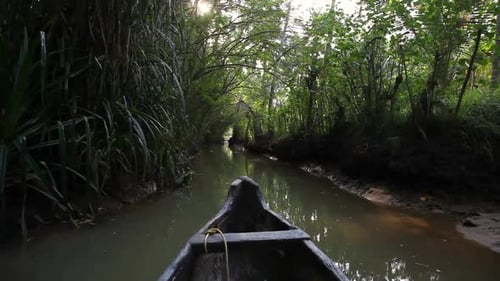 Passeio de remanso no rio Poovar na Índia