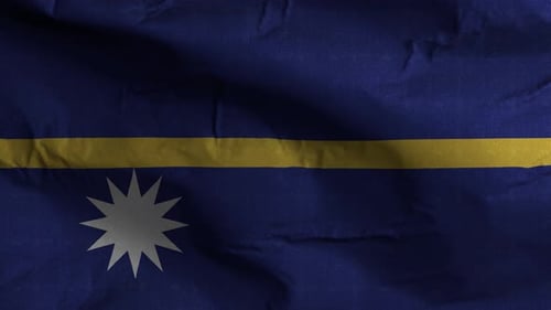 Nauru Flag Textured Waving Background 4K