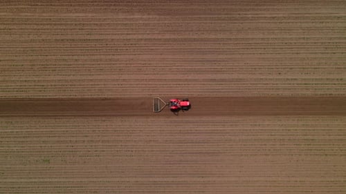 Agricultural Red Small Tractor in the Field Plowing Works in the Field