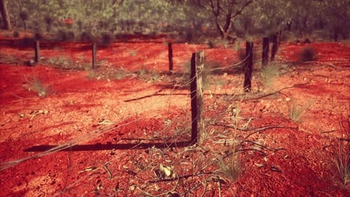 Rustic Barbed Wire Fence in Australian Outback Red Dirt Landscape