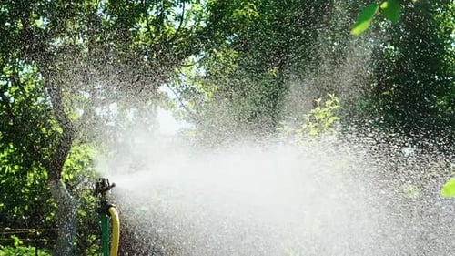 Sprinkleranlage sprüht Wasser auf das Gras im Garten
