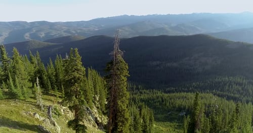 Lush Green Mountain Range Aerial View