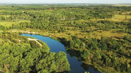 Aerial View Green Forest Woods And River Landscape In Sunny Summer Day