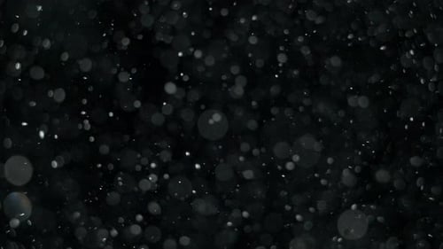 Bokeh- und Partikelvisuals mit geringer Schärfentiefe unter Wasser