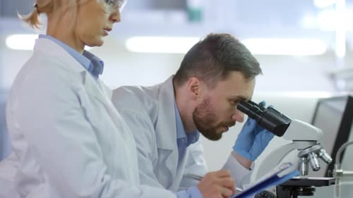 Zwei Forscher arbeiten im Labor