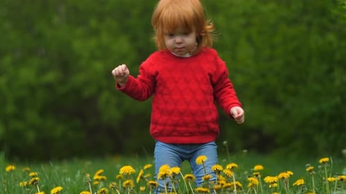 Nahaufnahme von Little Happy Funny 2 Jahre altes Mädchen hält Löwenzahn in Händen, lächelt und lacht im Sommer