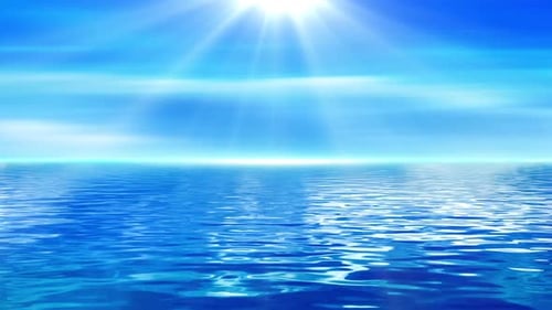 Seamless Looping Ocean Seascape with Flying Birds