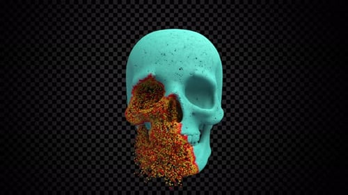 Surreal Particle Skull Transformation Animation