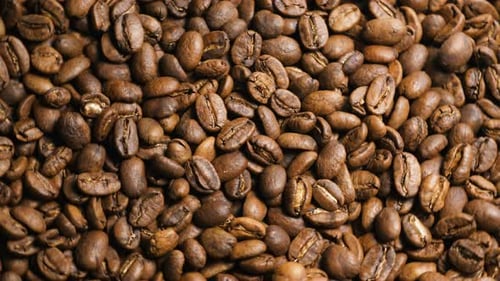 Pile of Roasted Coffee Beans Close Up
