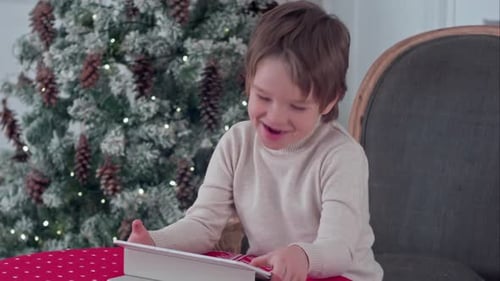 Happy Boy Using Tablet at Christmas Time