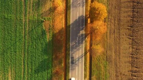 Aerial view of road in beautiful autumn forest at sunset. Beautiful landscape with empty rural road,