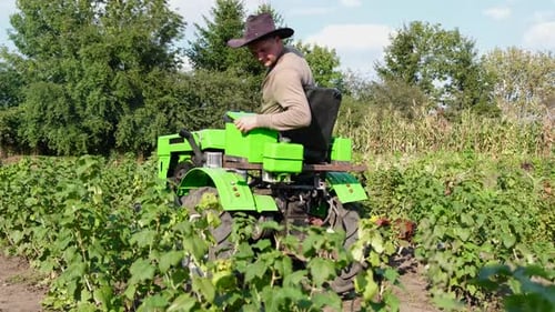 The Tractor Driver Works in the Field From Reversing and Inspects the Field