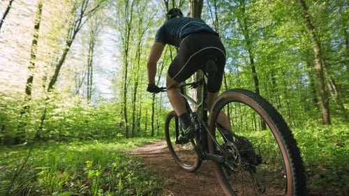 A Cyclist is Riding Through the Forest