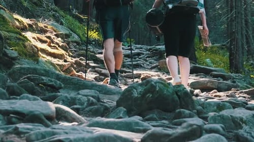 Couple of Tourists with Backpacks Climbing Up on Stone Trail in Mountain Forest
