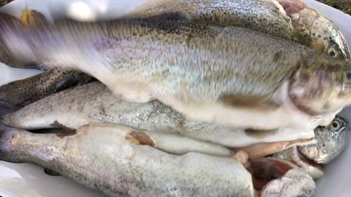 Pescado