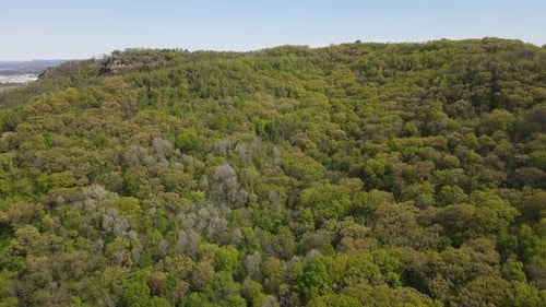 Blick auf üppigen grünen Wald an der Seite eines Berges mit strahlend blauem Himmel. Felsiger Felsgrat an der Seite.