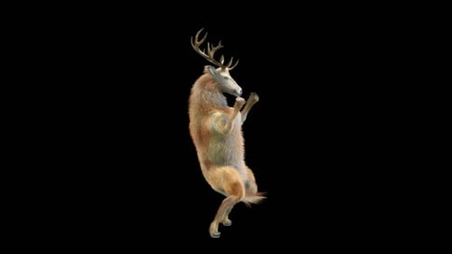 3D Animated Deer Dancing with Alpha Channel