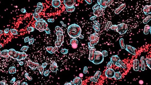 Fluid Microscopic Organisms and Red Particles Medical Background
