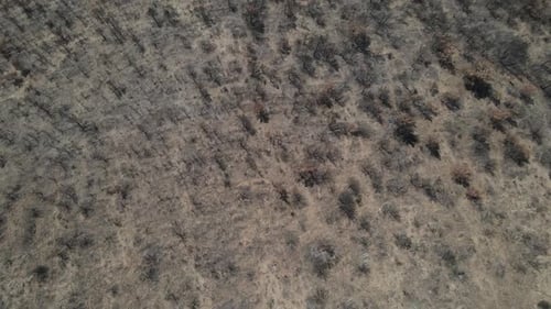 Destroyed Soil Aerial View