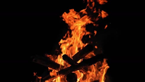 Burning Firewood with Orange Flames on Black