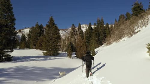 Adults Snowshoeing with Dog in Winter Wonderland