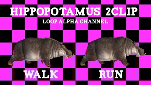 Hippopotamus 2 Cip Loop