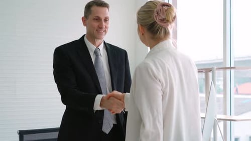 Adults Shaking Hands in Bright Office Setting