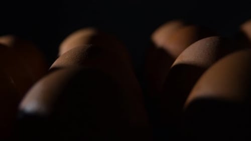 Close Up of Many Brown Eggs