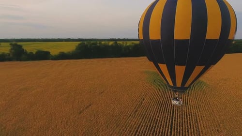 Aerial View of Hot Air Balloon over Wheat Field