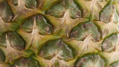 Pineapple exotic fruit texture close-up 4K 2160p 30fps UltraHD tilting footage - Tropical Ananas co