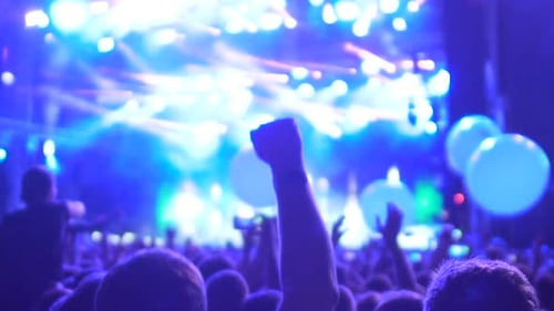 Crowd Cheering at Music Concert at Night