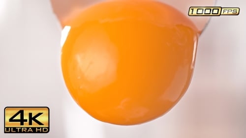 Egg Yolk Sliding out of Cracked Shell