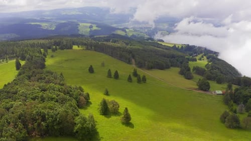 Vorwärtsantenne über grüne Hügel, bedeckt mit Gras und Wald