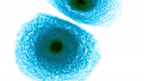 Expanding Blue and Green Ink Blot on White