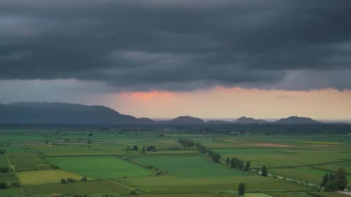 8K Wide Flat Plain Covered With Green Fields