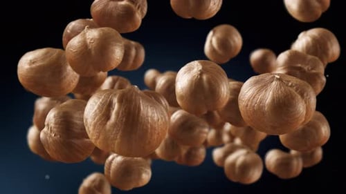Dynamic Hazelnuts Falling Animation Loop