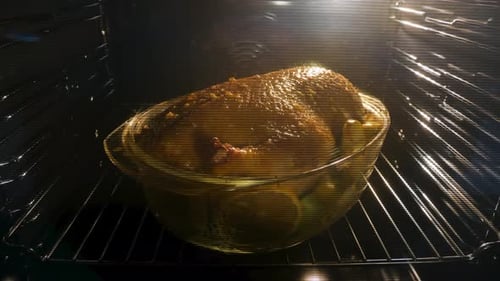 Time Lapse of Grilling or Roasting Whole Turkey in an Oven for Family Thanksgiving Dinner