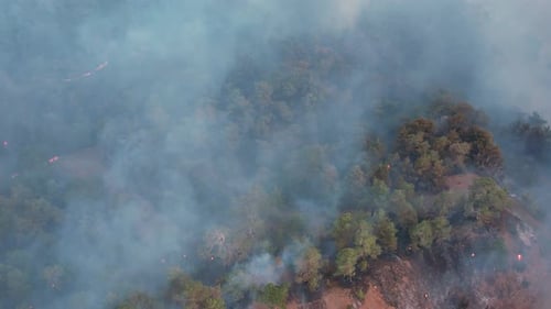 Smoke of a Forest Fire