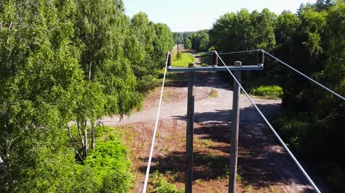 Moving over the pole and fuses of power lines in the middle of a forest and clearing.
