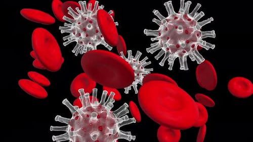 Animated 3D Virus and Red Blood Cell Visualization