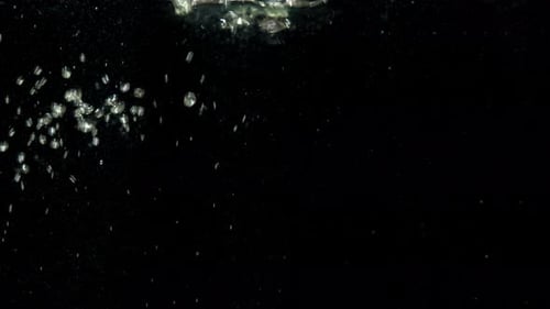 Luftblasen im Wasser, die auf isoliertem schwarzem Hintergrund an die Oberfläche steigen