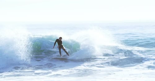 Surfers surfing in sea