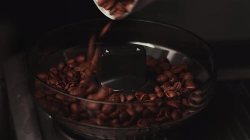 Roasted coffee beans poured into a coffee grinder